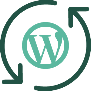 Zeit beim Update der WordPress Website sparen, durch professionelle Betreuung