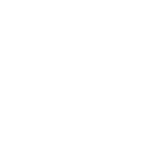 WordPress Express-Anfrage 