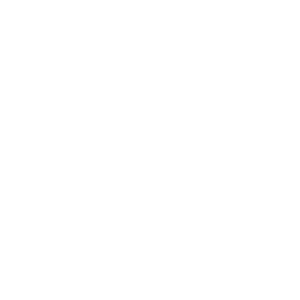 WordPress Update Dokumentation