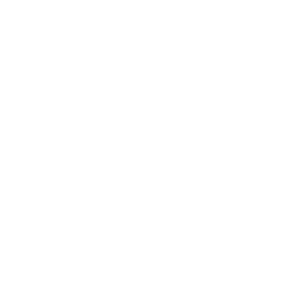 Regelmäßige WordPress Backups