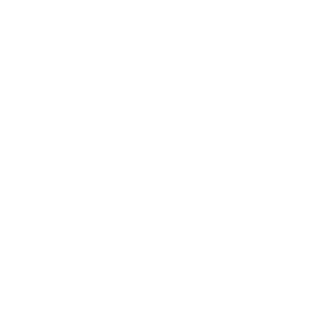 Backups vor jedem WordPress Update