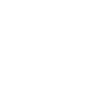 Schnelle WordPress wiederherstellung