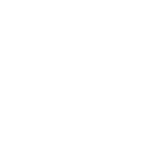 WordPress Reparatur buchen