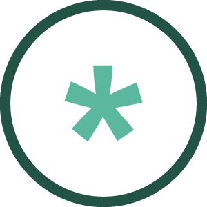 WordPress Divi Theme